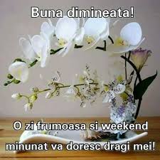 Pin By Denissa On Sfarsit De Saptamana Floral Good Morning Romantic