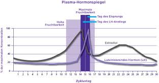 Die folgende tabelle zeigt auf, wie lange die beiden phasen des zyklus durchschnittlich andauern und an welchen tagen in der zyklusmitte mit einem eisprung zu rechnen ist. Eisprungrechner Clearblue
