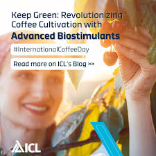 ICL Group (@icl__group) • Instagram photos and videos