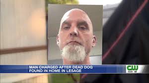Man charged after dead dog found in home