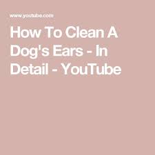 How To Clean A Dog S Ears In Detail Youtube Dog Ear Cleaning Desert Boots