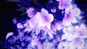 Maybe you would like to learn more about one of these? Teliwis Toast Deviantart Aesthetic Flowers Purple Aesthetic Flowers Purple Aesthetic