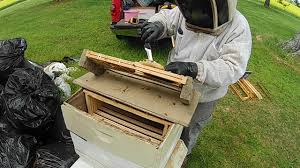 It's an opportunity to provide perfect task lighting for any function or cast ambient light to showcase a room's décor. Halo Recessed Lights Tremsetter Installation 01 Gameplay Installation 01 Weekly Update 4 3 2019 Combat Evolved On Channel Centerstrain01 Tommiemorea