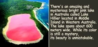 The Pink Lake Esperance Wa Lake Hillier Is A Pink Lake On Middle Island The Largest Of The Islands That Make Up Recher Pink Lake Lake Hillier Middle Island