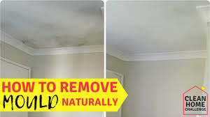 Looking To Remove Mould Naturally From Your Home Without Having To Use Chemicals Remove Mould From Your Bathroo In 2020 Mold Remover Cleaning Mold House Cleaning Tips