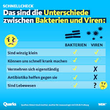 Was Man Uber Schutzmasken In Zeiten Von Corona Wissen Muss Quarks De
