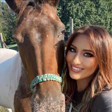 What are some bullly/pitbull designs?