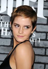 Frankie sandford is a well known hollywood celebrity and she carries a trendy short haircut with a beautiful blonde hair color tone. 80 Best Celebrity Short Hairstyles Short Haircuts For Women Hairstyles Weekly