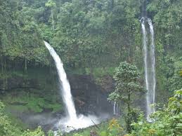 Nah, karena terletak di taman nasional, destinasi wisata ini sangat terawat dan memiliki fasilitas yang cukup lengkap. Nikmati Panorama Alam Dan Kopi Parentas Di Curug Ciparay Buanajabar Co Id