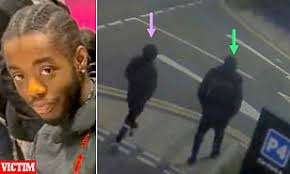 Lettice Bromovsky: All their latest coverage