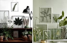Les cabinets de curiosités ont vu le jour en europe à la renaissance ! Creer Un Cabinet De Curiosites Vegetales M6 Deco Fr