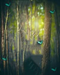 Maybe you would like to learn more about one of these? Best Background Photo Editing Follow Guys 77 3k Complete Guys Dslr Background Images Blur Background Photography Blurred Background Photography