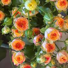 Maybe you would like to learn more about one of these? Sacramento Wholesale Flowers Home Facebook