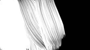 Check spelling or type a new query. Realistic Fullscreen Paint Brush White Stock Footage Video 100 Royalty Free 1016135134 Shutterstock
