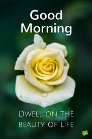 Wednesday is a day to help others celebrate life. Fresh Inspirational Good Morning Quotes For The Day Get On The Right Track