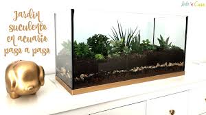 Elige los tonos que combinen bien y pon en marcha tu imaginación para elaborar tu diseño. Reciclar Acuario Con Plantas Suculentas Youtube