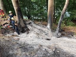 9 августа в 00:44 ·. Pol Me Unbekannte Entzunden Feuer Am Blauen See Die Polizei Ermittelt Und Sucht Presseportal