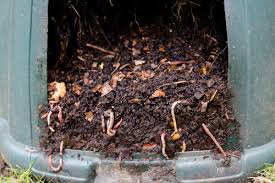 Much like traditional composting, worm composting works by creating an ideal environment for various organisms to break down organic matter. Can I Put Worms In My Compost Tumbler Garden Tabs