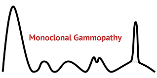International myeloma working group molecular classification of multiple myeloma: Serum Protein Electrophoresis Myeloma Screen Medschool