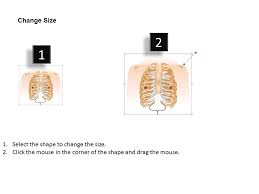 Other hormones are made in these organs • heart • liver • gi tract • kidney • dermis • bones • placenta. 0514 Anatomy Of Chest Wall And Thoracic Cavity Medical Images For Powerpoint Graphics Presentation Background For Powerpoint Ppt Designs Slide Designs