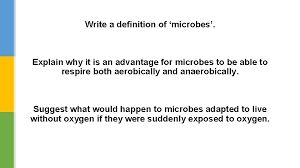 We did not find results for: Understanding Anaerobic Respiration Aseel Samaro Introduction Plants And
