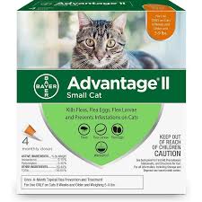 How do i get my cat to take capstar? Cat Flea Tick Control Pills Buy Flea Shampoo For Kittens
