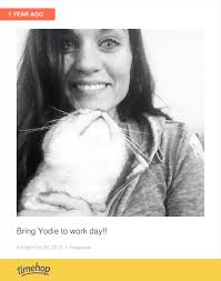 Beth Matteson (@BraveHeartHiker)