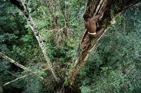 Is your network connection unstable or browser outdated? Rumahku Syurgaku Gaya Orang Asli Papua New Guinea Takusahrisau S Blog