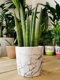 Ceramic ravello plant pot in white peach pebble planters garden indoor pots planters small large stylish plant pots best for scheurich indoor plant pot pannacotta. Marble Print Ceramic Planter Plant Pot By Stupid Egg Interiors Notonthehighstreet Com