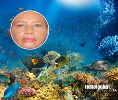 Ordenan arresto por rebeldía a acusada en caso Coral y Coral 5G