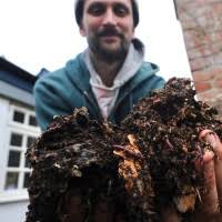 Thomas Daniell - Founder of Old Tree ...