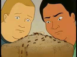 "Nampak macam sebijik macam trak ayah aku." "Maksud kau trak Dale Gribble?"  "Ya, ya, ayah aku" : r/KingOfTheHill