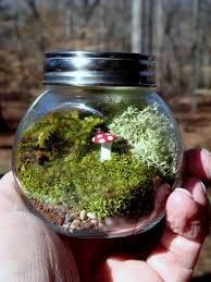 Pin By Manao Patcharapee On Terrarium Love Terrarium Mini Garden Small Space Gardening