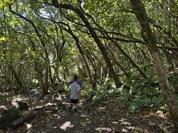 Image result for Kuloa