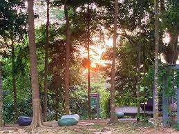 Taman awam bukit kiara mempunyai keluasan iaitu sebanyak 14.515 ekar (termasuk kawasan rumah panjang). Bukit Kiara Haven For Jogging Walking Hiking And Cycling Aliran