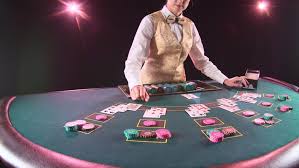 Choose one of our casino dealer programs. Casino Dealer Woman Takes The Stock Footage Video 100 Royalty Free 35020270 Shutterstock