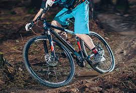 Cannondale Trail 29 5 Review Mbr