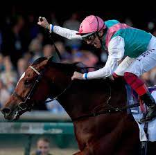 at the races on instagram she did it enable global superstar breederscup bc18 enable horse horseracing raceh equine photography horse racing horses