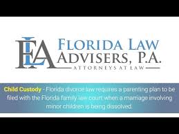 Free legal advice parenting plan. Child Custody Guide 2021 Florida Family Law