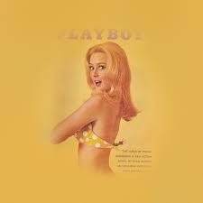 We did not find results for: Af04 Vintage Playboy Cover Girl Papers Co