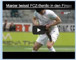 N engl j med 2000, 343: Marderjagd In Der Thun Arena Deutsche Jagdzeitung