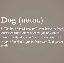 Pin By Wendy Wb On Animal Lover Quotes Dog Quotes Dogs Quotes