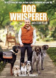 kopeklere fisildayan adam izle turkce altyazili dublaj belgesel dizi izle belgeselx com