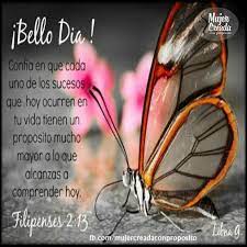 Pin En Mariposas Frases