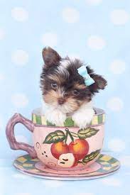 i pinimg com originals 38 af e0 38afe0a8cd53589