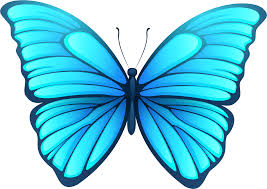 We did not find results for: Download Butterfly Png Png Image With No Background Pngkey Com