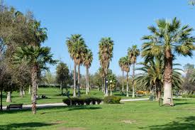 Image result for parque