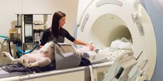 There are 22 different types of ct scan provided in new york, listed below, and the price for each differs based upon your insurance type. Ct Or Mri When To Use Each And Why
