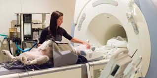 The less invasive calcium scoring heart ct scan, which uses computerized tomography is used to detect. Ct Or Mri When To Use Each And Why