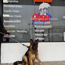 Image result for tbn:Ydr-SUgjXeGLUM::padilla-cauca.gov.co/apc-aa-files/62653335303733333434313562623130/dia_del_amor1_1_.jpg